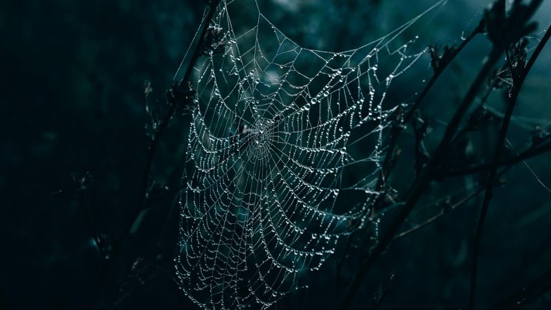2精选内容:围绕珍爱网的几篇长尾整理